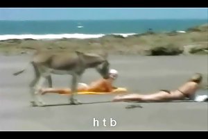 Lustig..4....h. t. b. porno videos auf sex überredet