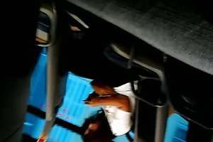 Flash-bus - sie mag 2 blowjob porn watch online